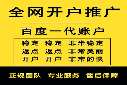 行业案例研究：SEM竞价托管的策略与挑战